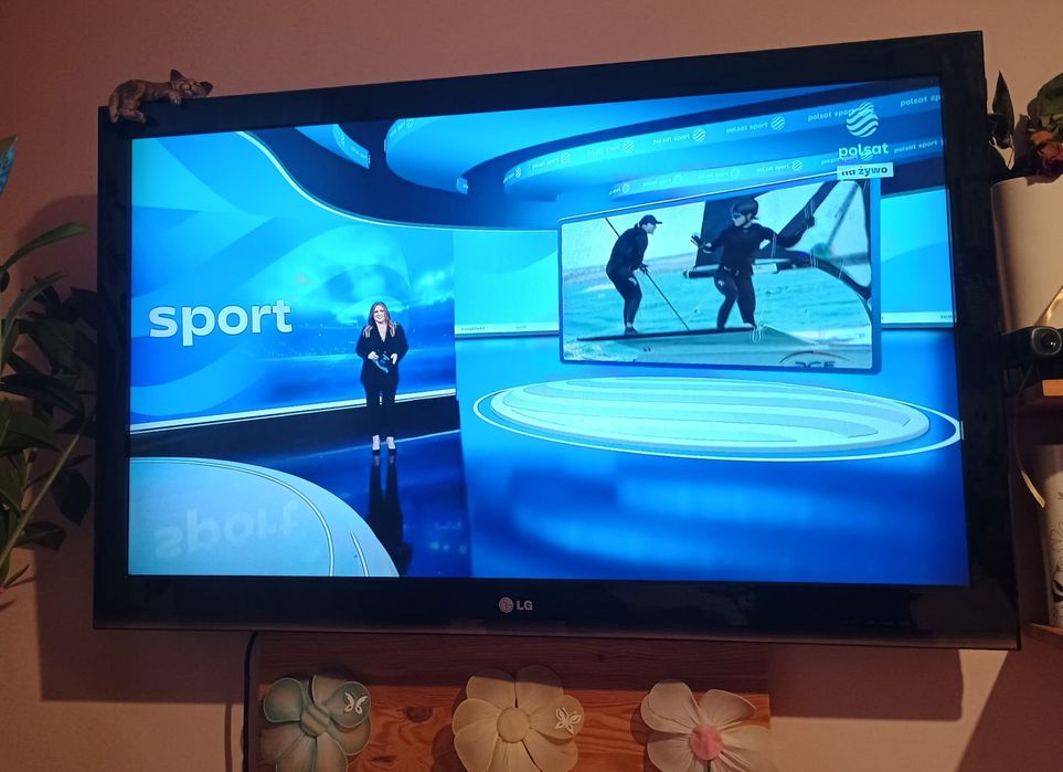 TV 42 LG cale Telewizor bez DVB-T.