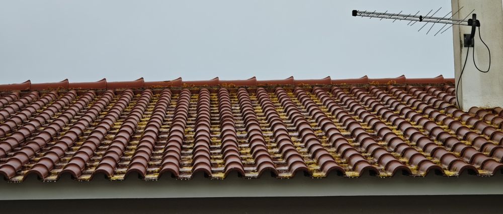 Limpeza de telhados, muros , paredes exteriores