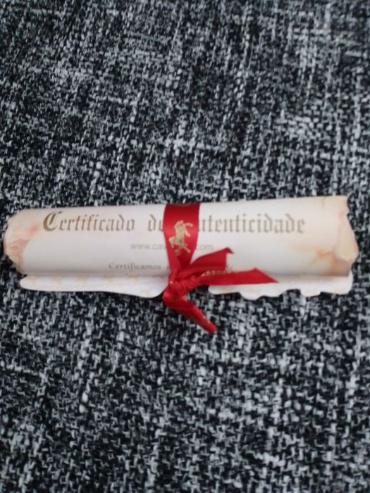 Certificado cavalinho novo