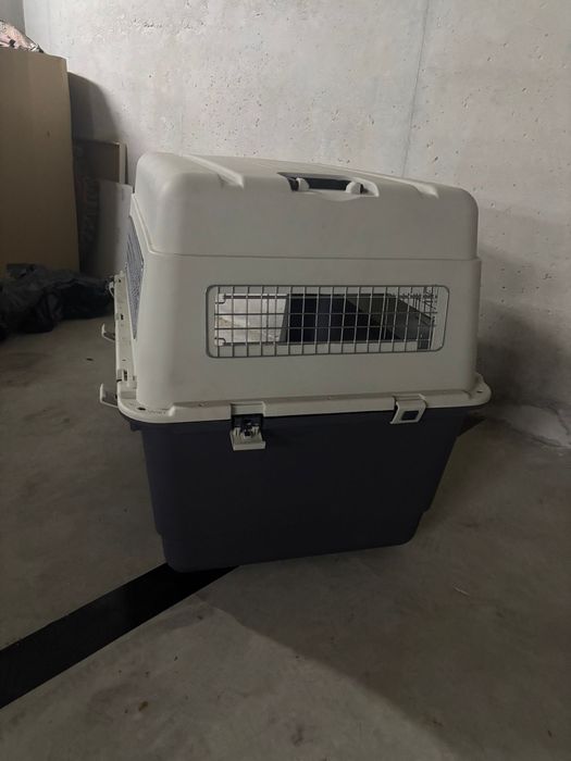 Caixa transportadora