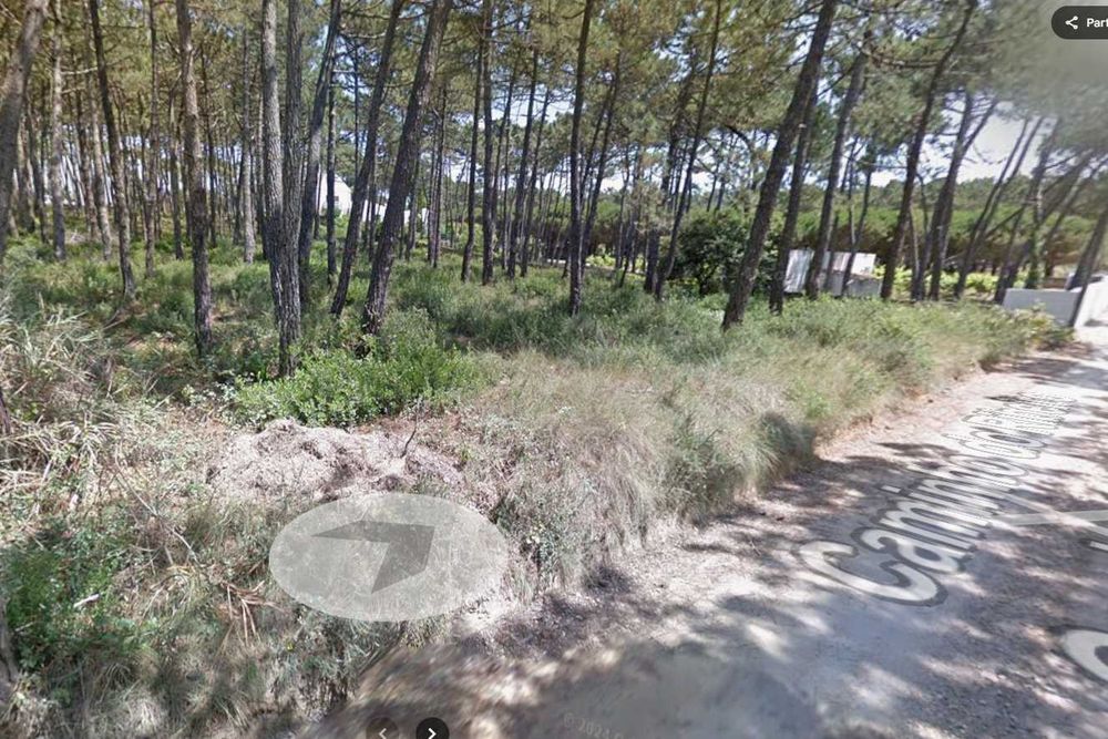 Terreno Rústico Pinhal com 2280 m² Praia São Julião