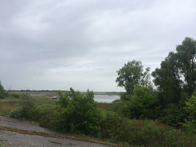 5,76 га біля Дніпра, с. Проців, Бориспільский р-н, без %