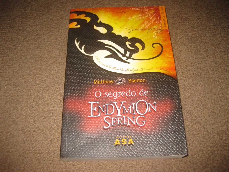 Livro "O Segredo de Endymion Spring" de Matthew Skelton