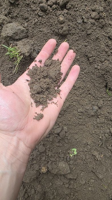 Ziemia z transportem