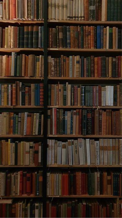Explicacoes de portugues e literatura portuguesa