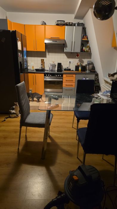 Wynajmę pokój dla dziewczyny