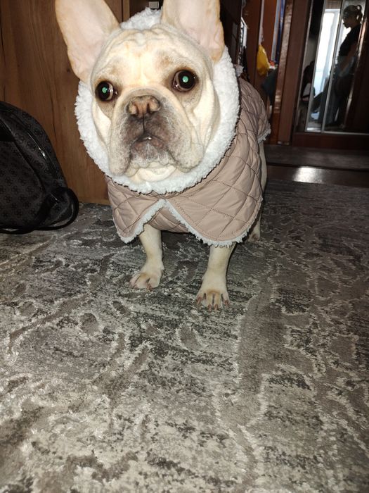 Тепла жилетка для собаки