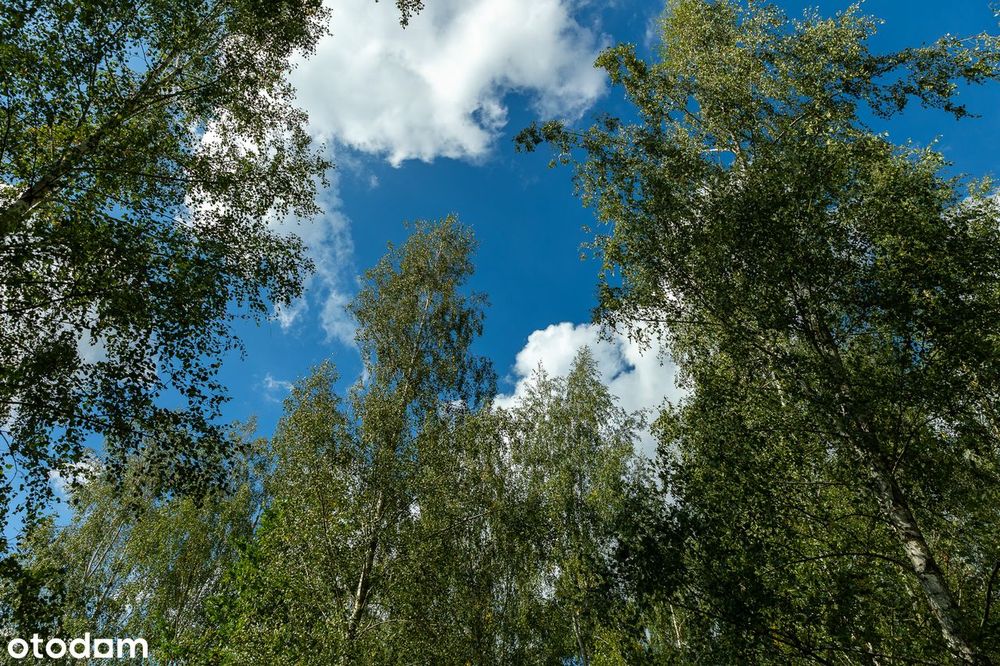 Zdjęcie 3
