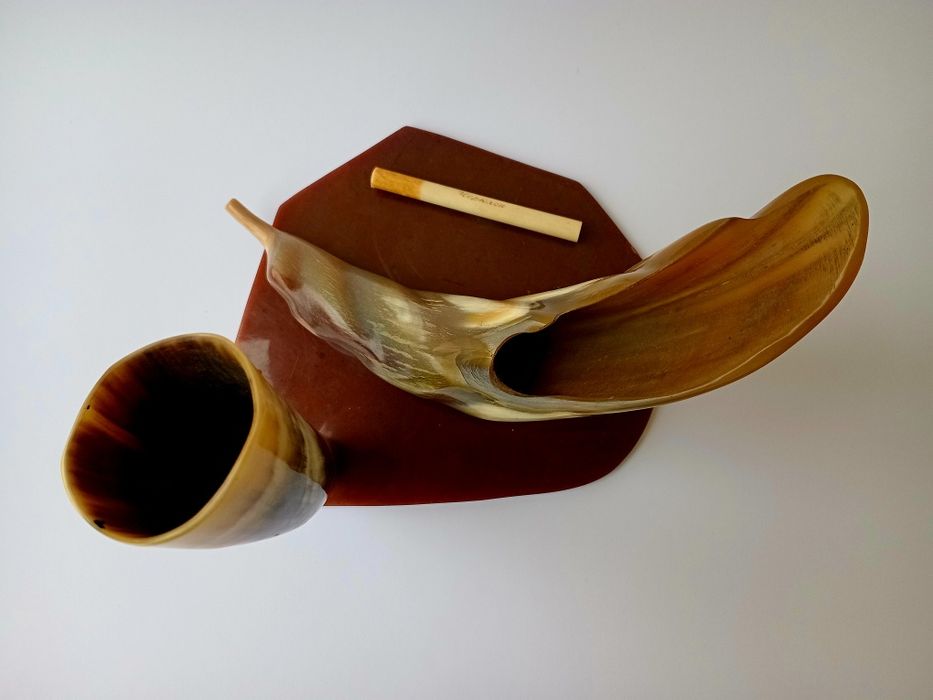 Органайзер настільний ріг Достатку рог Изобилия из рогів диких тварин