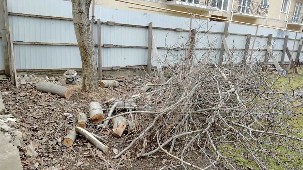 Горіх на дрова безкоштовно