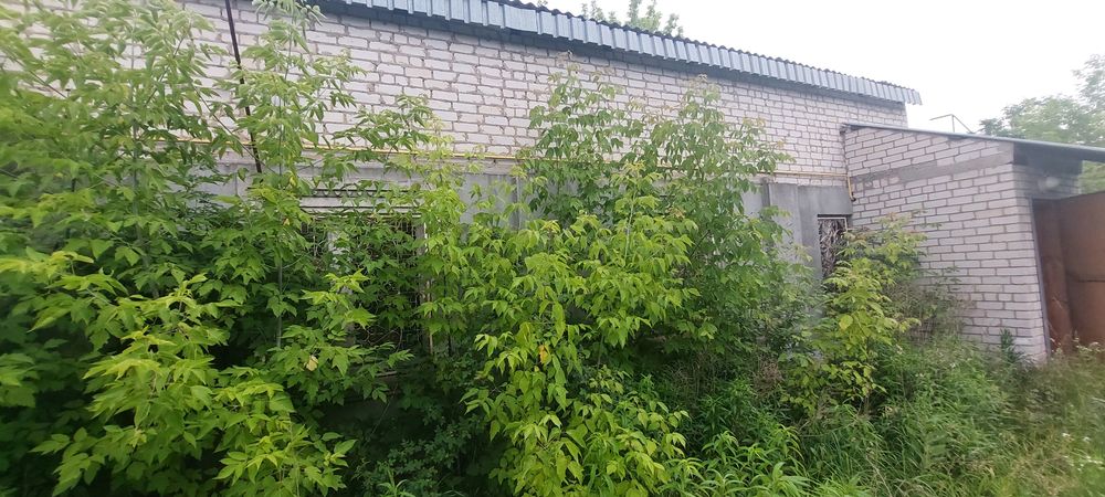Продам два дома на участке в Сиряках. РАБОТАЕМ ПО СЕРТИФИКАТУ (Э-ВІДНОВЛЕННЯ) - Вид 6