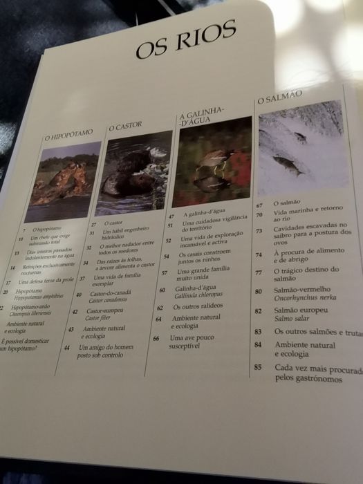 Vida Selvagem : Animais dos litorais e ilhas, Animais dos bosques...