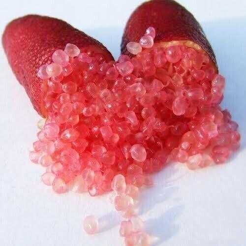 Red finger Limes / Limões Finger Vermelhos