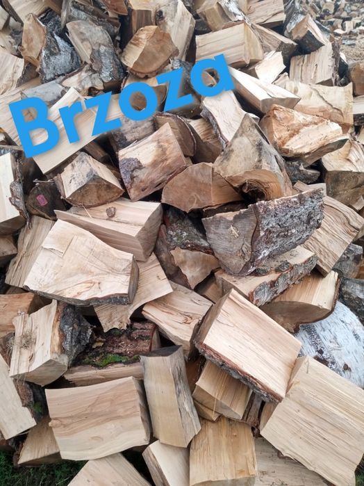 Buk, Dąb, Brzoza, Jesion, Sosna- Drewno Kominkowe i Opałowe
