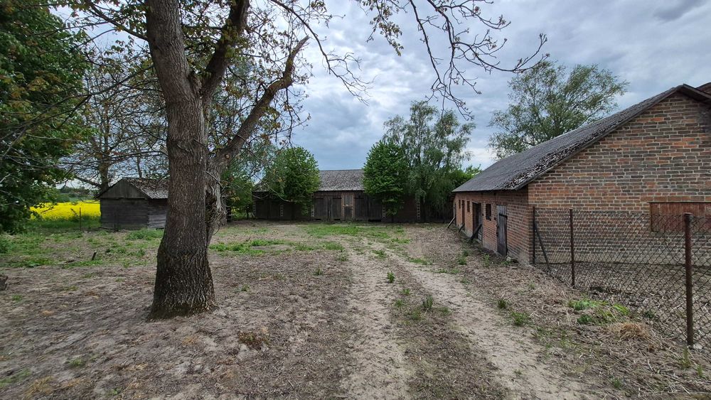 Siedlisko 29 arów Kiełczewice Górne, gm. Strzyżewice
