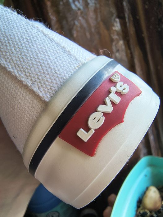 Дитячі кеди Levi's
колір білий