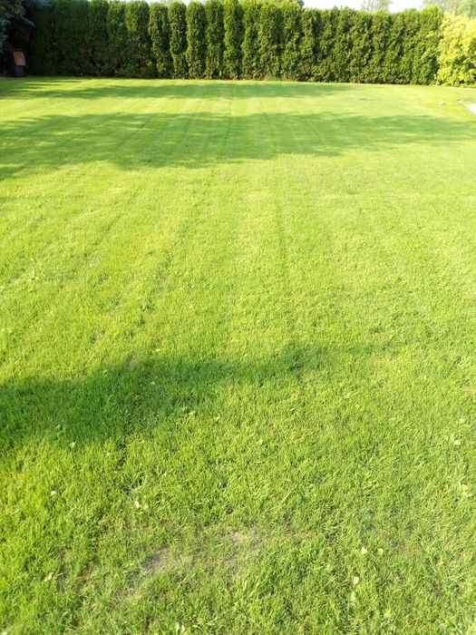 Glebogryzarka separacyjna