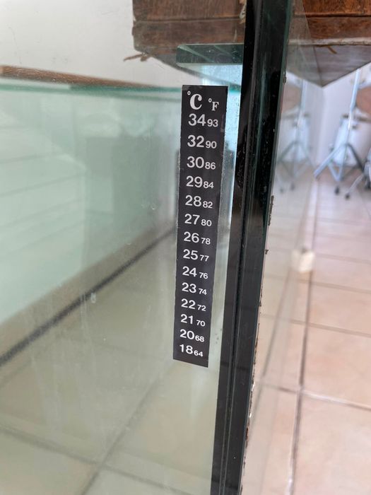 Aquário em vidro