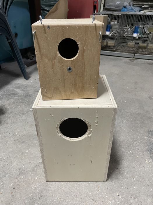 1 ninho de caturra e 1 ninho de periquitos