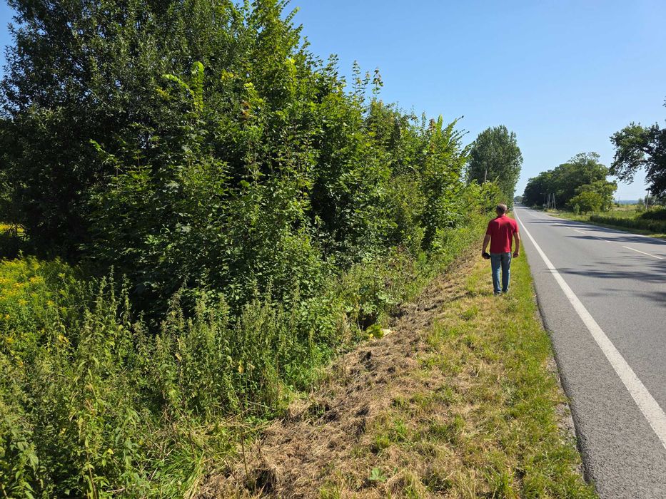 Ділянка на Трасі  Львів - Самбір 1-ша лінія 50 соток