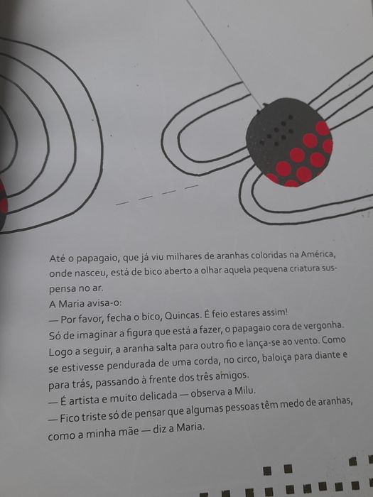 Livro A Aranha Delicada