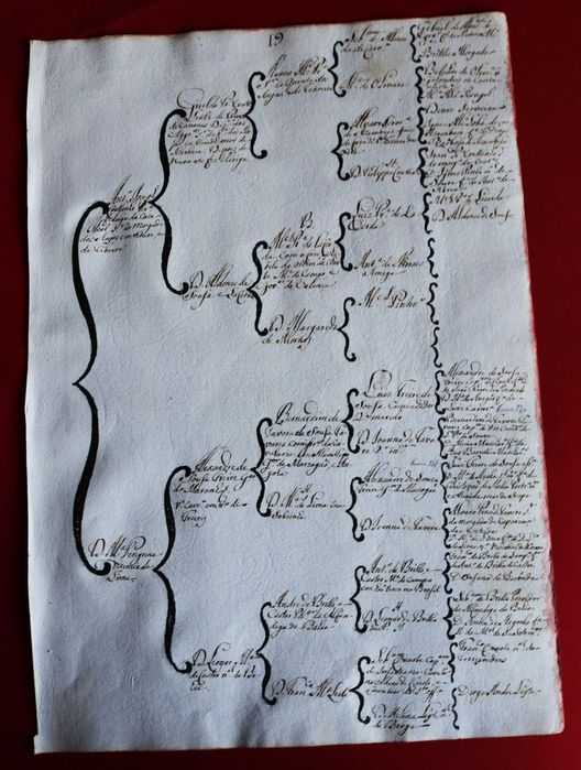 Costados de António Jorge Pereira Coutinho, Soure 1746