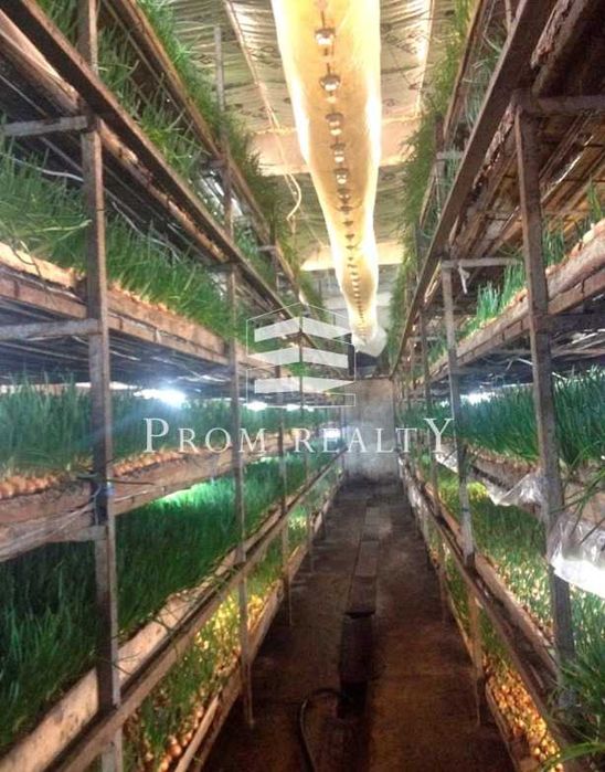 Продаж бізнесу з вирощування печериці