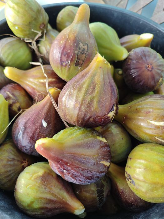 Vendo Figos 4€/kg