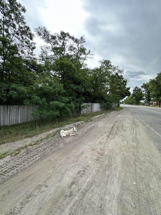 Земля для бізнесу