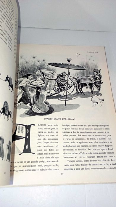 Grande Bíblia Ilustrada - Antigo Testamento