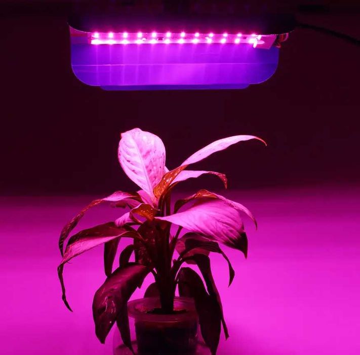 LED фітопрожектори для рослин