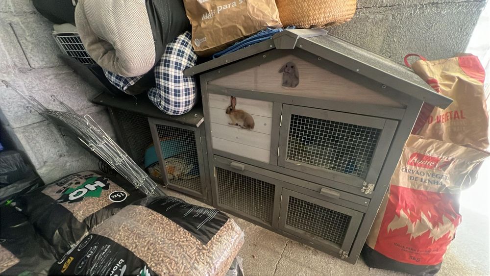 Coelheira em madeira