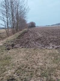 Sprzedam  działkę rolną   5,5 ha   Stanisławów