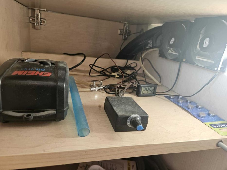 Akwarium 500L (200x50x50) + szafka - robiona na zamówienie + życie