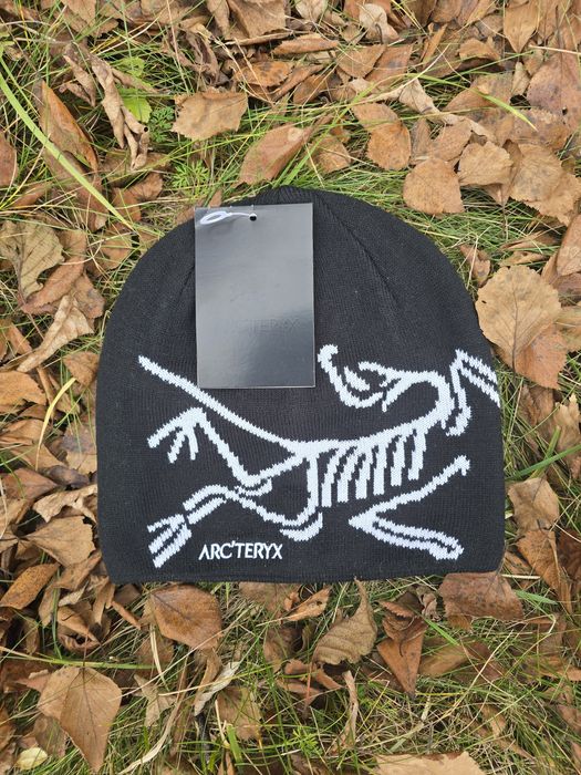 Шапка Arc’teryx Bird Head Toque