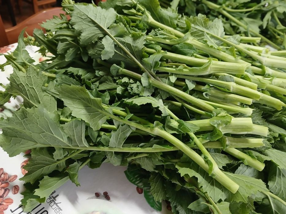 Grelos de Nabos  Biológicos NC