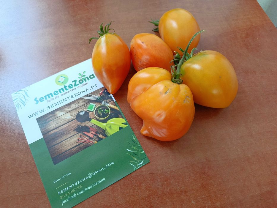 10 Sementes Tomate Coração de Boi Laranja