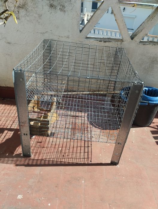 Gaiola para coelhos