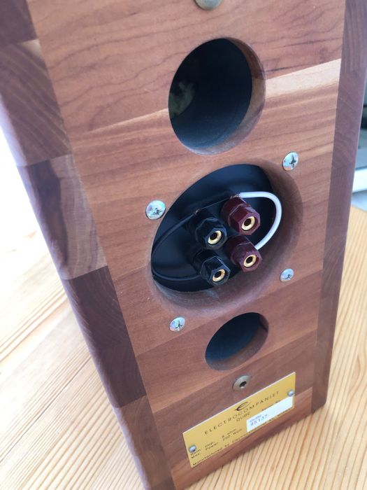 Colunas High End Electrocompaniet Qube