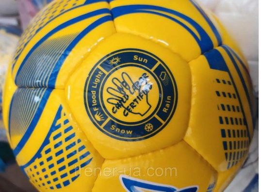 Продаються футбольні м'ячі, в наявності  3 штуки