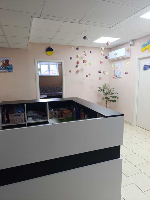 Діючий сімейний центр розвитку + власне приміщення 240 м² - Слободка- Одеські Традиції