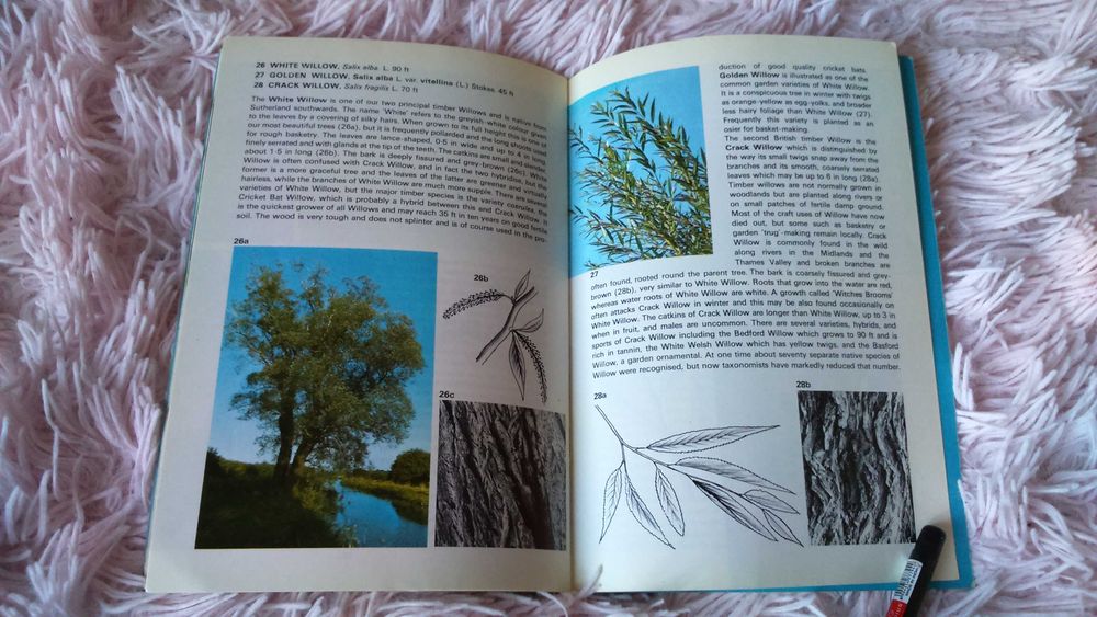 Книга англійська Trees in Britain  Дерева Британії Широколисті кн. 1