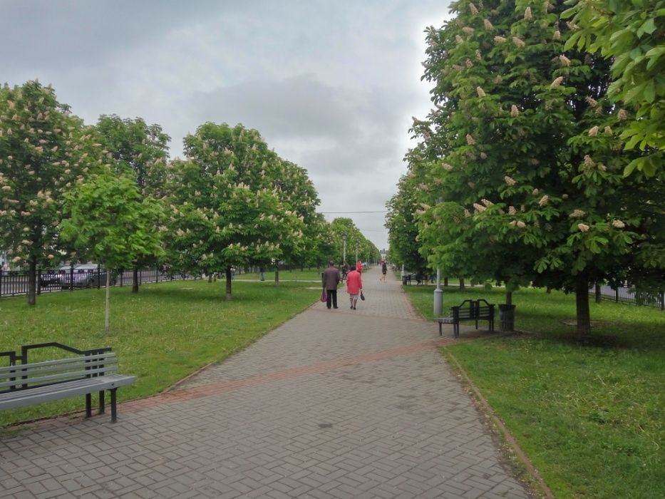 ЦЕНТР студия VIP до 4 человек. ПАРКОВКА рядом. Посуточно почасово