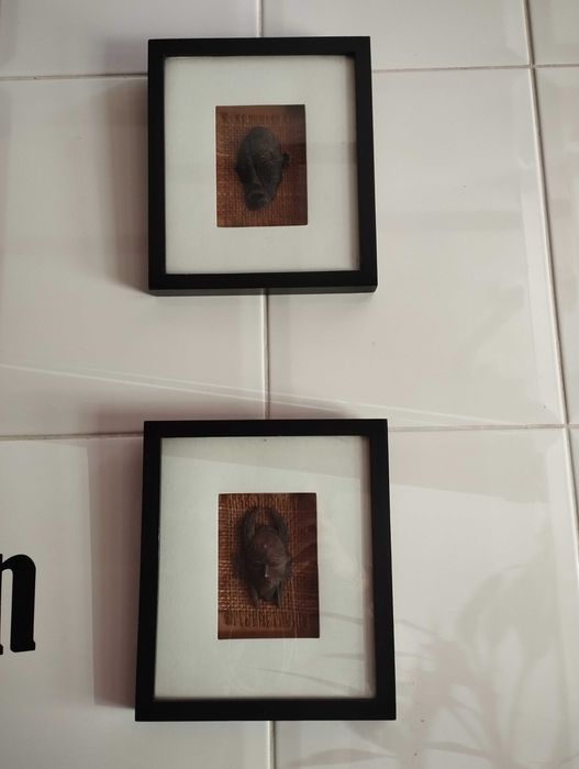 Conjunto de 3 quadros africanos