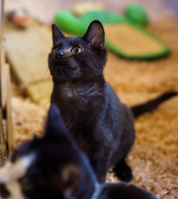 Maleńki Heniulek z dworca kolejowego