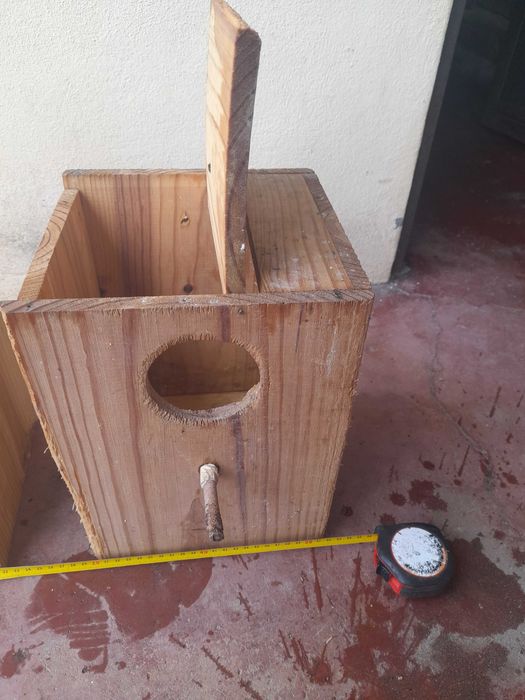 Vendo ninhos para caturras.