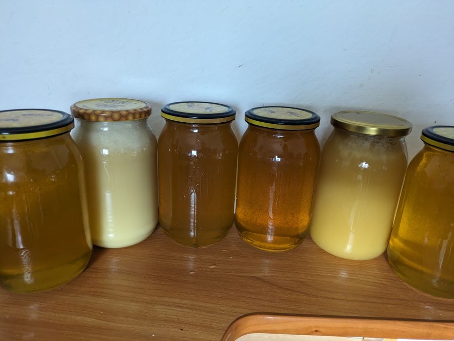 Miód wielokwiatowy z własnej pasieki