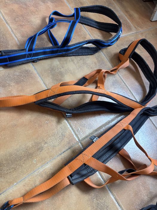 Szelki sled sali canicross