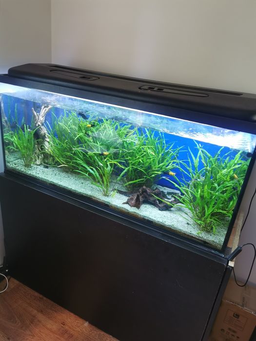 Akwarium 320 litrów
