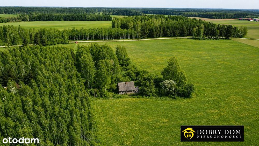 Klimatyczne siedlisko w gminie Gródek